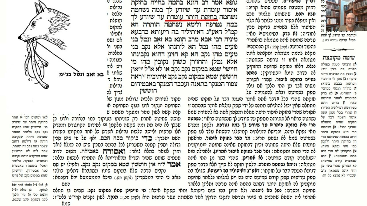 דף יומי מסכת חולין דף ט Daf yomi Masechet Chulin page 9  ע