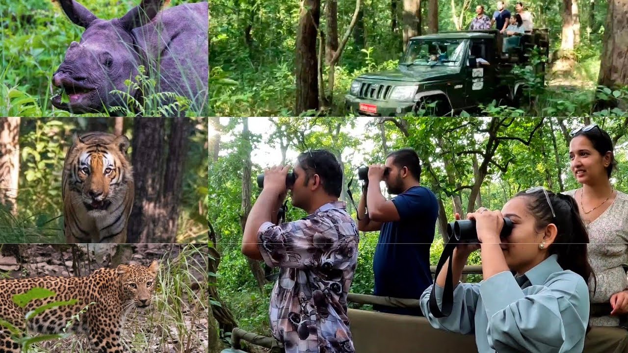 Tiger/Leopard/Rhino sighted, Jungle Safari in Bardia National Park, Ep-3, The Den Adventures