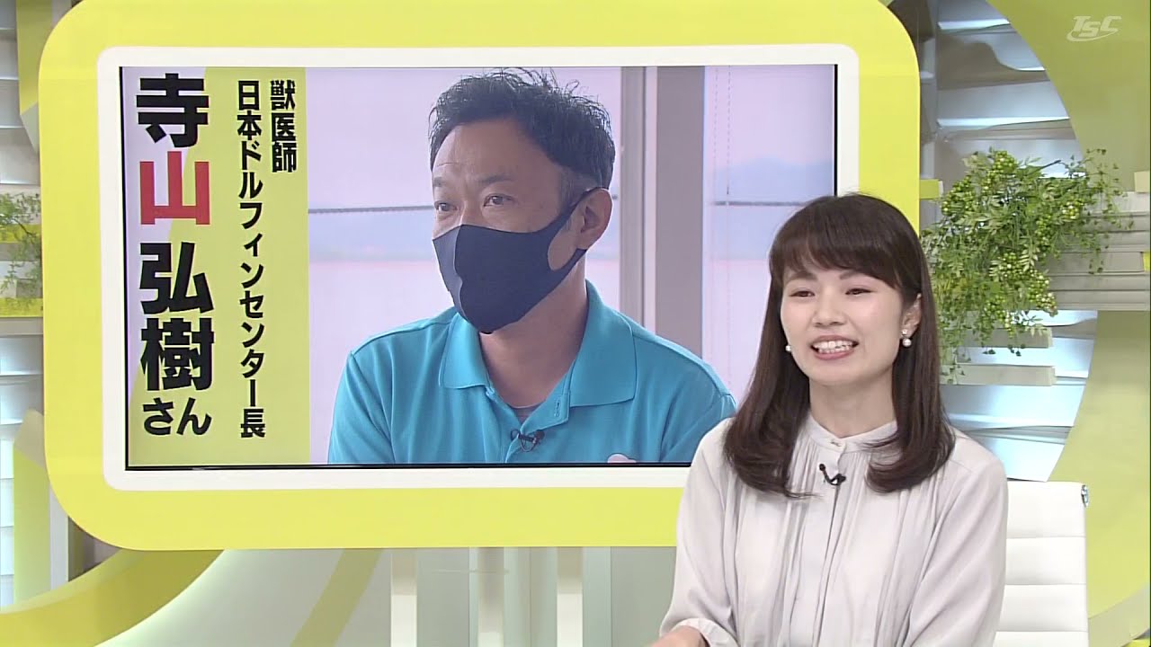 この人に聞きたい　日本ドルフィンセンター　寺山弘樹センター長