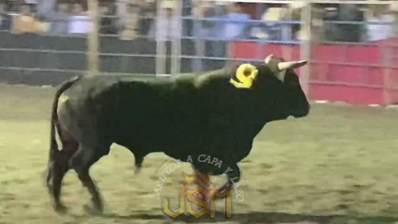 Rancho el cristo negro alfiler vs Adictos Al Peligro ixtlilco el grande 03/01/2026 