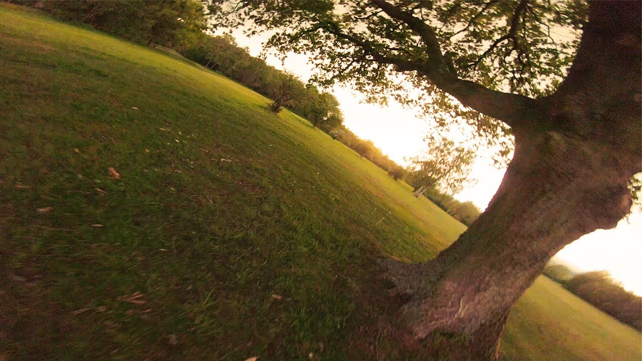 Under the canopy 🌳🔥 ~ proximity FPV Freestyle