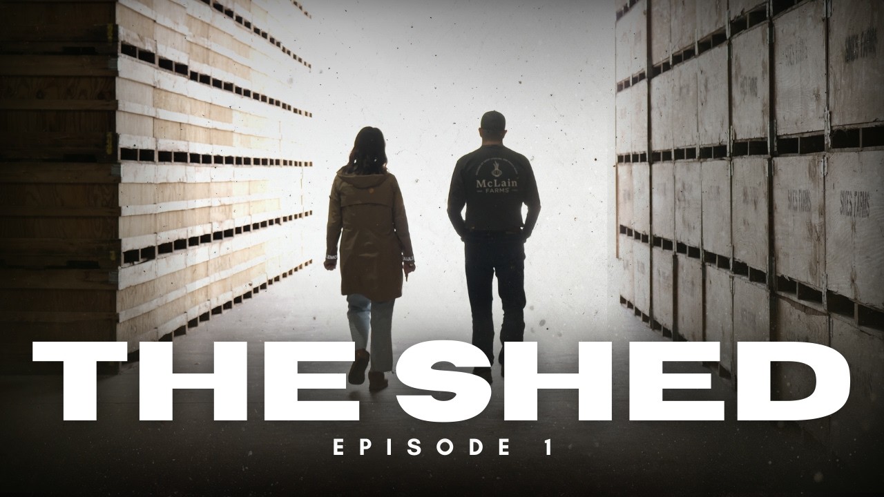 The Shed | Episode 1: Welcome In