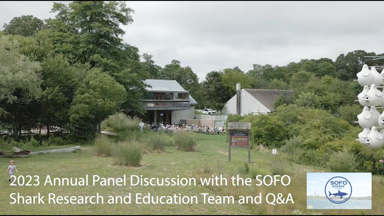 2023 SOFO Shark Research and Education Team Annual Panel Discussion and Q&A