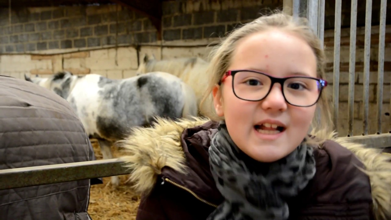 Je remonte à cheval