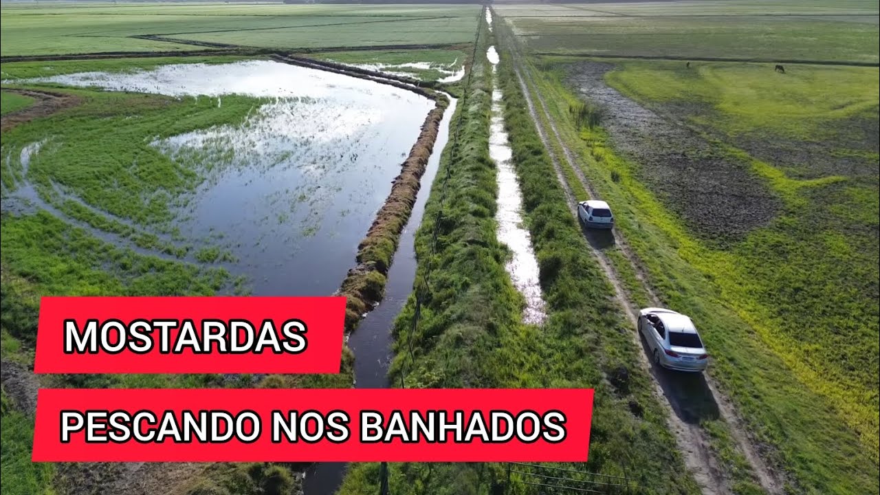 SERÁ QUE TEM PEIXE? Pescaria nos banhados em Mostardas, Rio Grande do Sul.