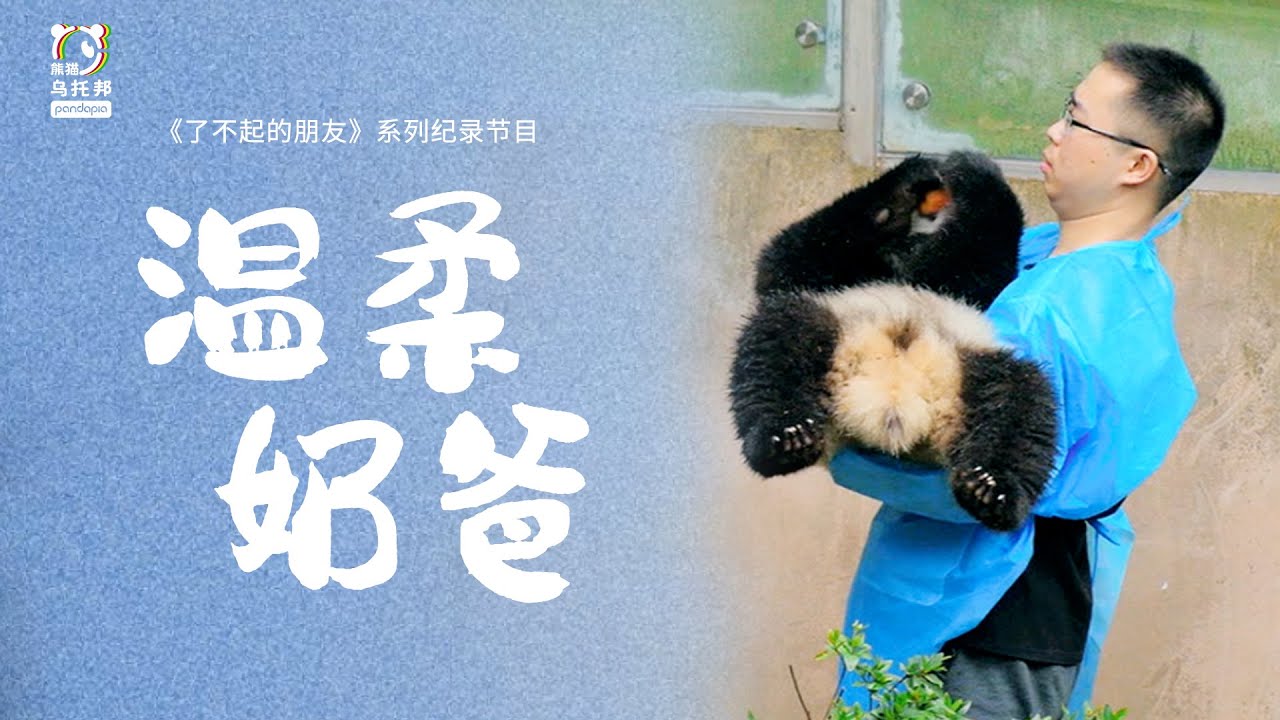 【了不起的朋友 第5话】“红秋裤”奶爸，竟被熊团子欺负了？