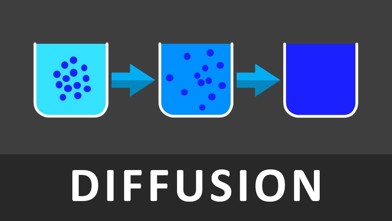 Diffusion Einfach erklärt in 102 Sekunden | Was ist Diffusion | Grundlagen Biologie