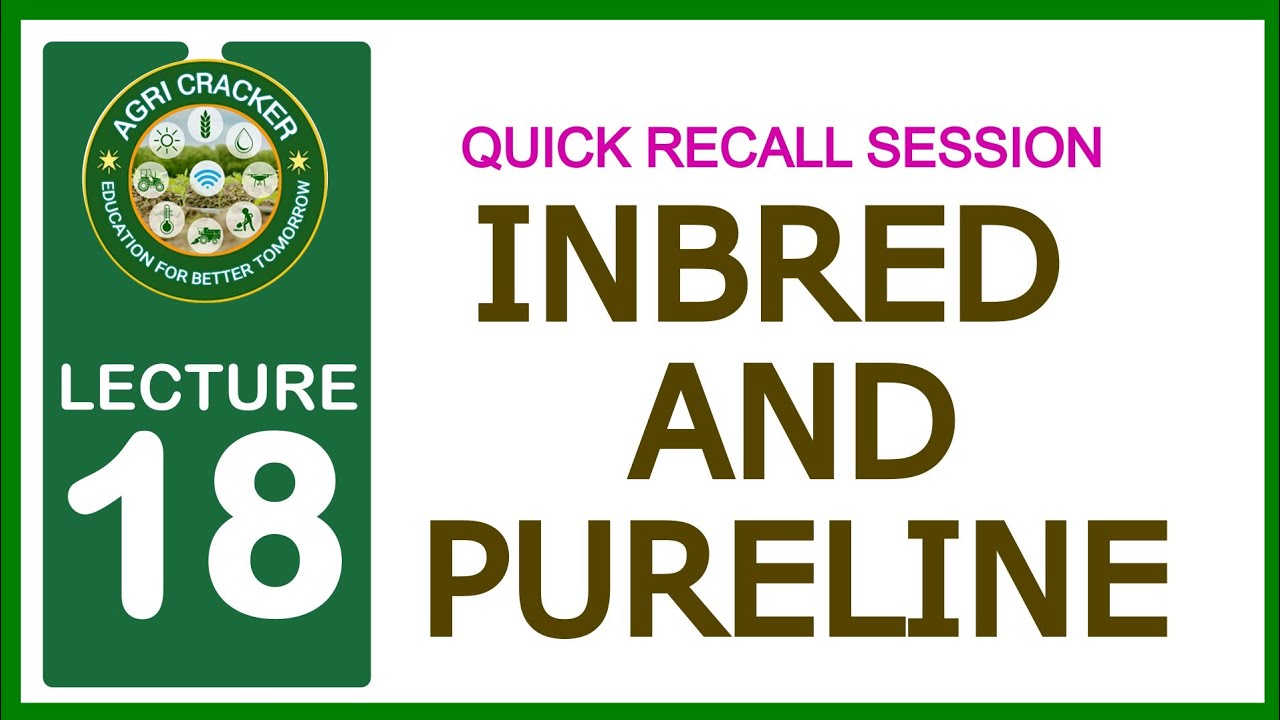 Quick Recall Session - 18, Inbred & Pureline