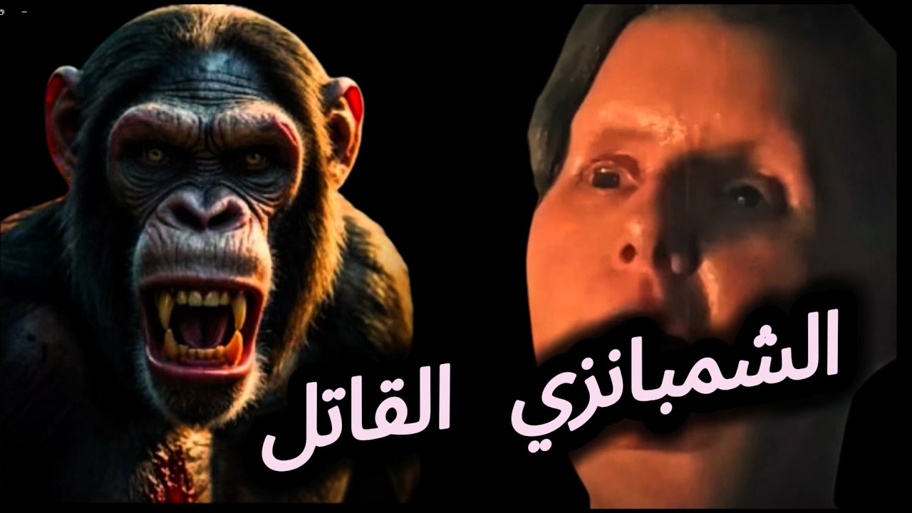 الشمبانزي القاتل :كيف تحول من مدلل 😎 الى وحش اكل وجه صديقة العائله 😮