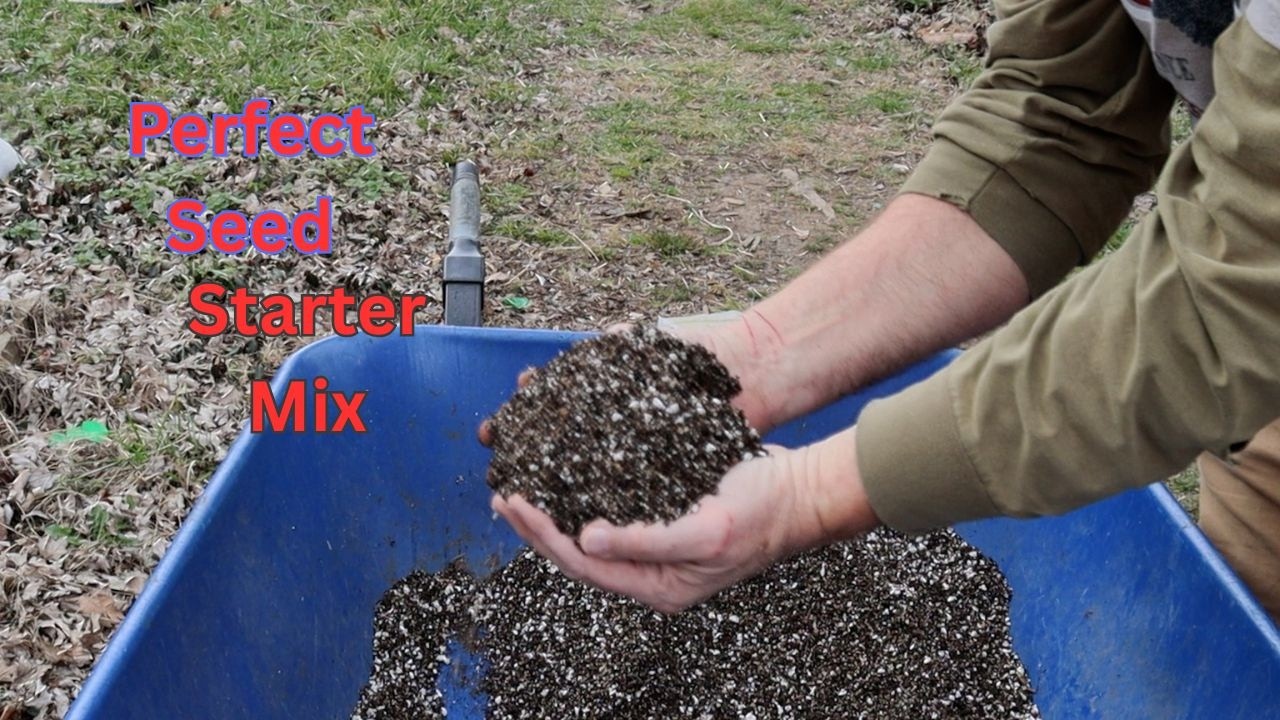 Seed Mix & Pepper Plants