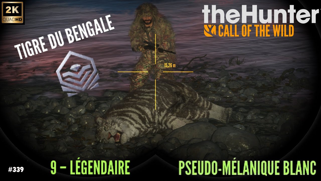 THEHUNTER CALL OF THE WILD #339 ON CHASSE LE TIGRE DU BENGALE SUR SUNDARPATAN RESERVE ! 2025