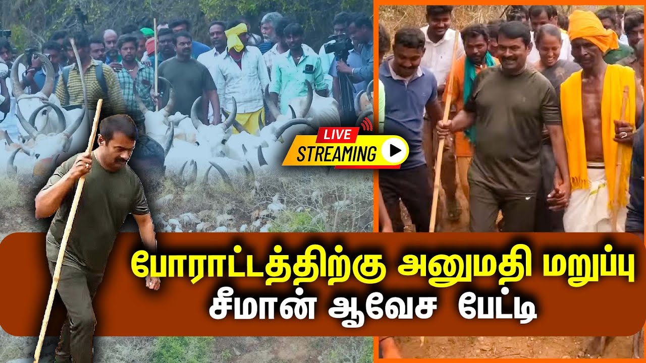🔴LIVE : போராட்டத்திற்கு அனுமதி மறுப்பு  சீமான் ஆவேச பேட்டி  | Seeman | NTK | Cattle Grazing