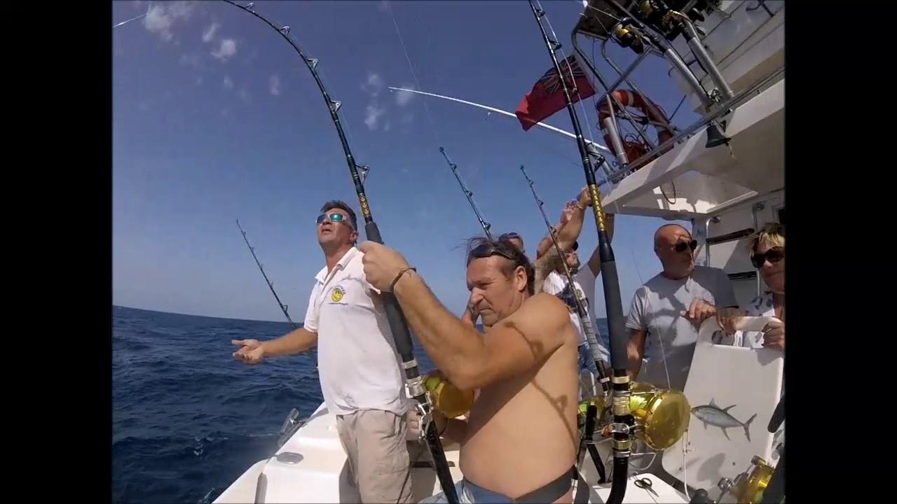 Tuna fishing on 