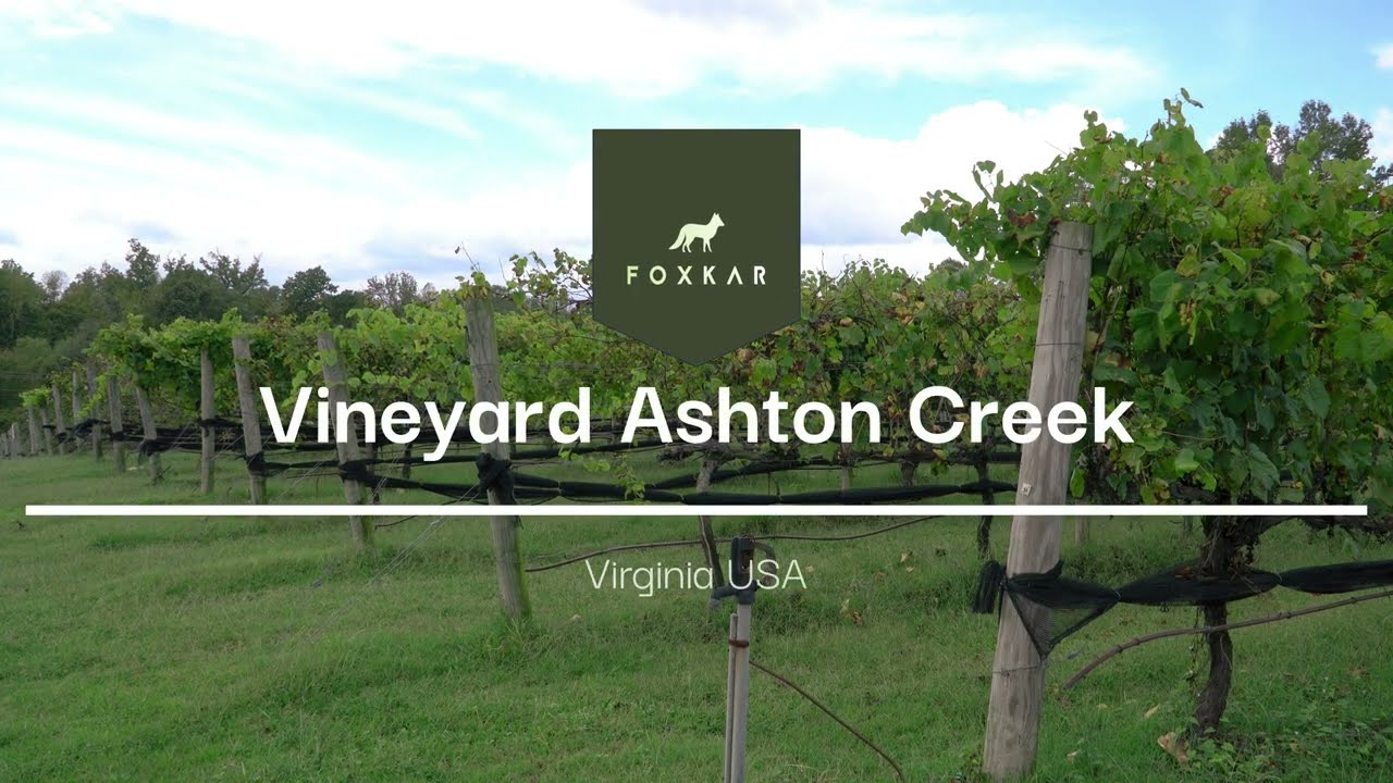 Vineyard Ashton Creek Virginia USA