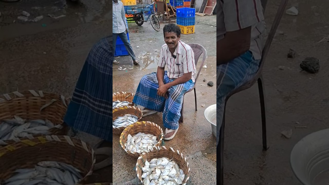 💥🐠 Karapodi Fresh fish low rate | Kasimedu fish market #silverbellyfish #fish #trending #shorts