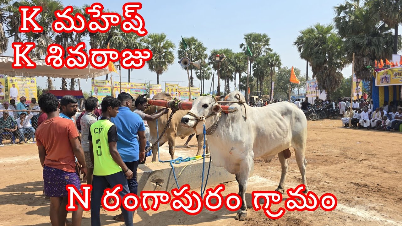 యాగంటి సీనియర్ విభాగంలో  6