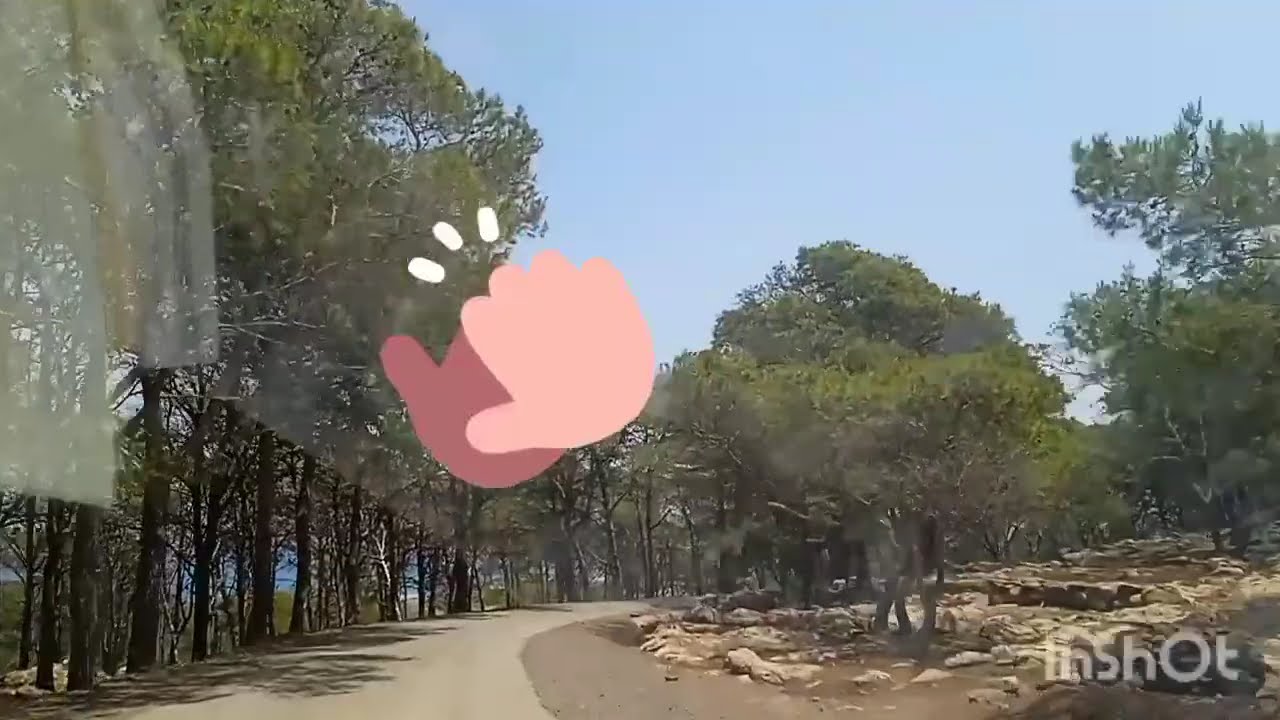 فرحة ممتعة للجميع ♥️♥️♥️ مع  اغنيه امازيغيه💃💃🕺🌹🌹🌹