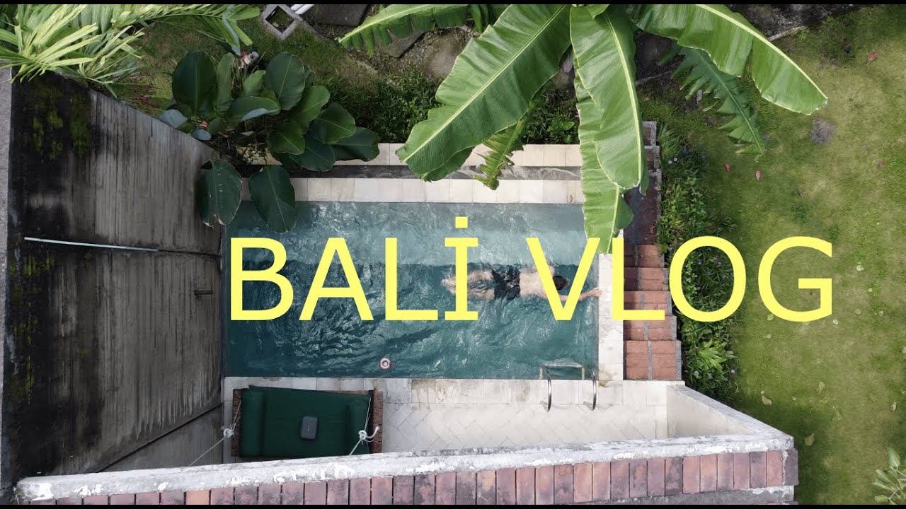 1 AY BALİ VLOG & Canggu