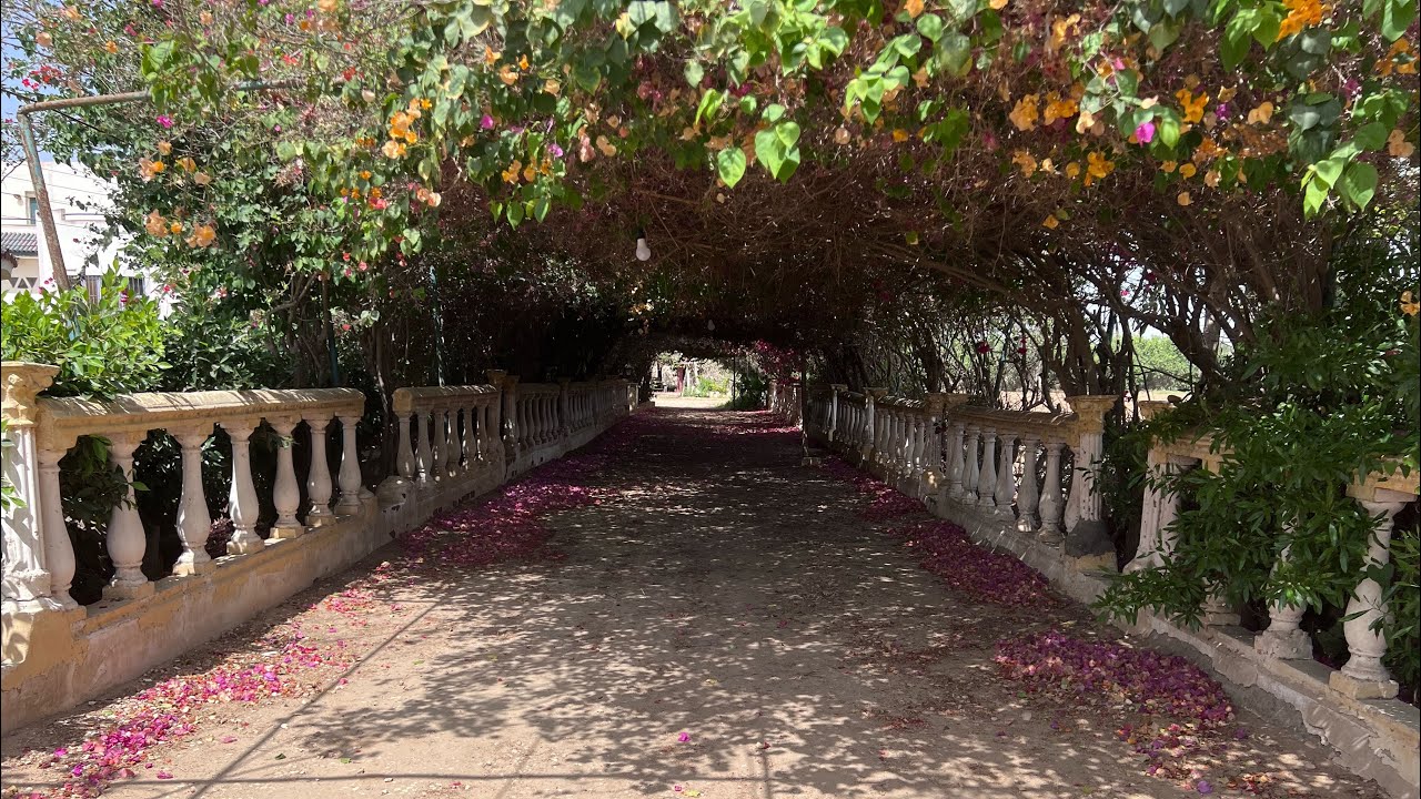 مزرعة نموذجية ١٠ فدان مسجلة شهر عقاري ( سكني - داجني - سمكي - حيواني - زراعي ) ري نيلي في ابو صوير