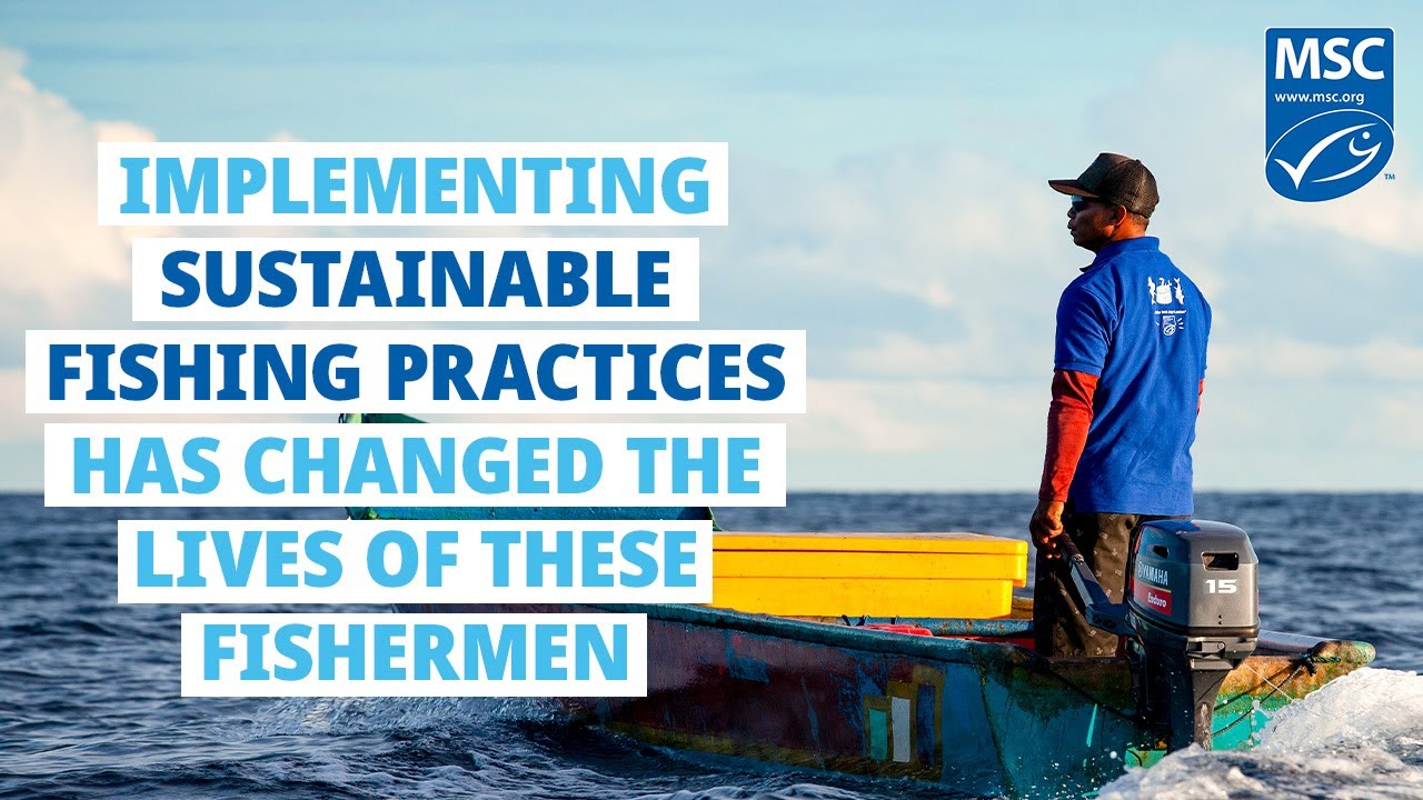 World's First MSC Certified Sustainable Handline Yellowfin Tuna Fishery in Indonesia