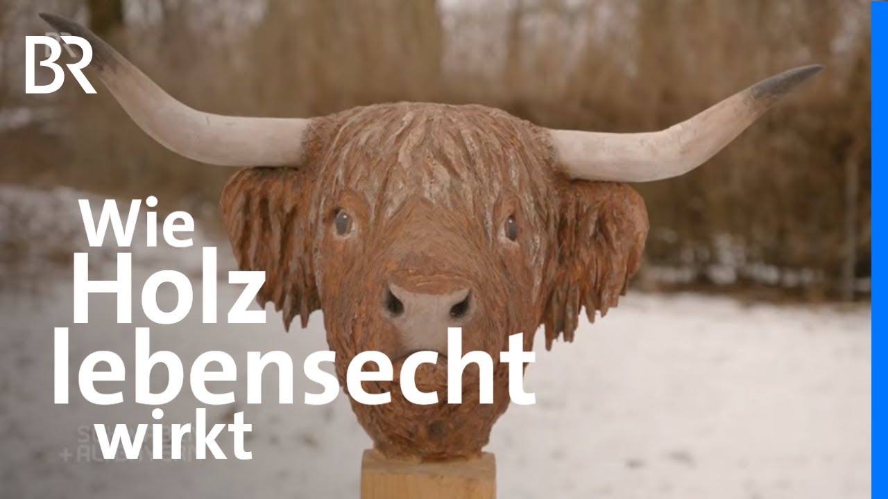 Lebensechte Tierskulpturen: Am Anfang steht die Kettensäge | Schwaben + Altbayern | BR