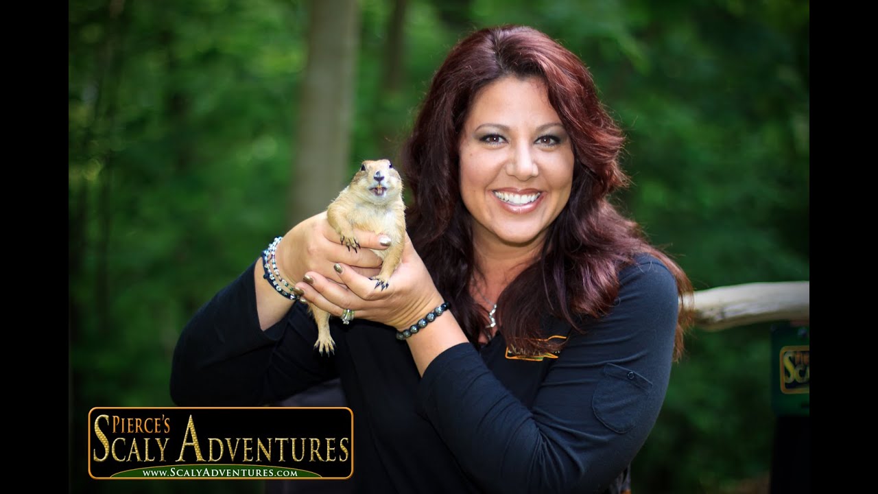 Meet Rosie The Prairie Dog In This Scaly Adventures TV Commercial!