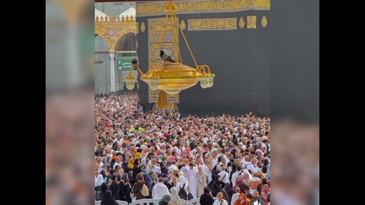 Mashallah ❤️