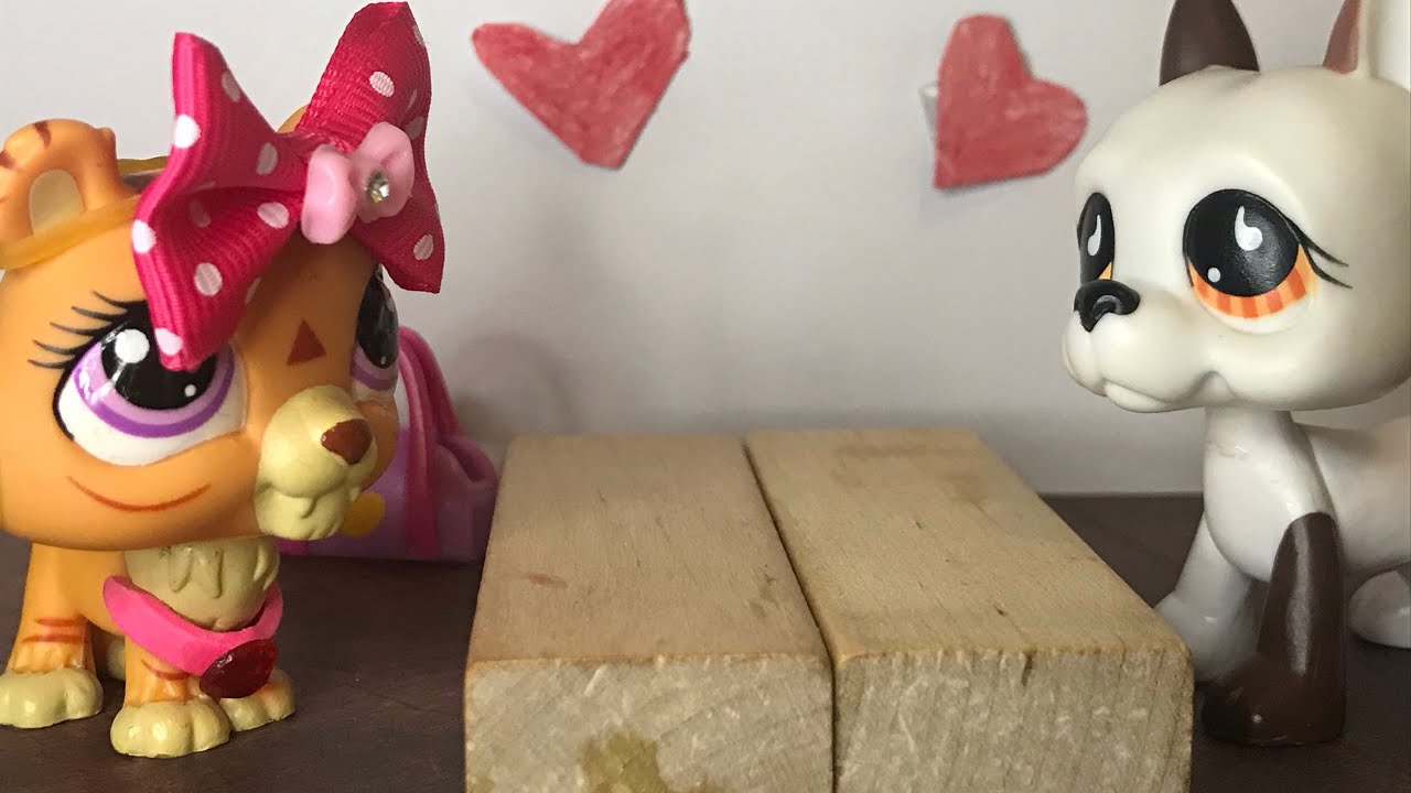 All over again (💖Valentines Day Special💖) | LPS buttermilk