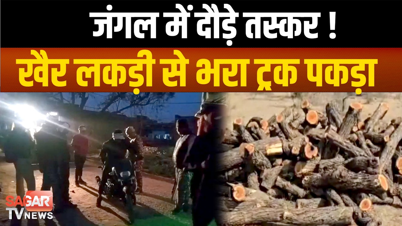 खैर लकड़ी से भरा ट्रक जब्त, तस्कर जंगल की ओर फरार, वन विभाग का तगड़ा प्रहार | SAGAR TV NEWS |