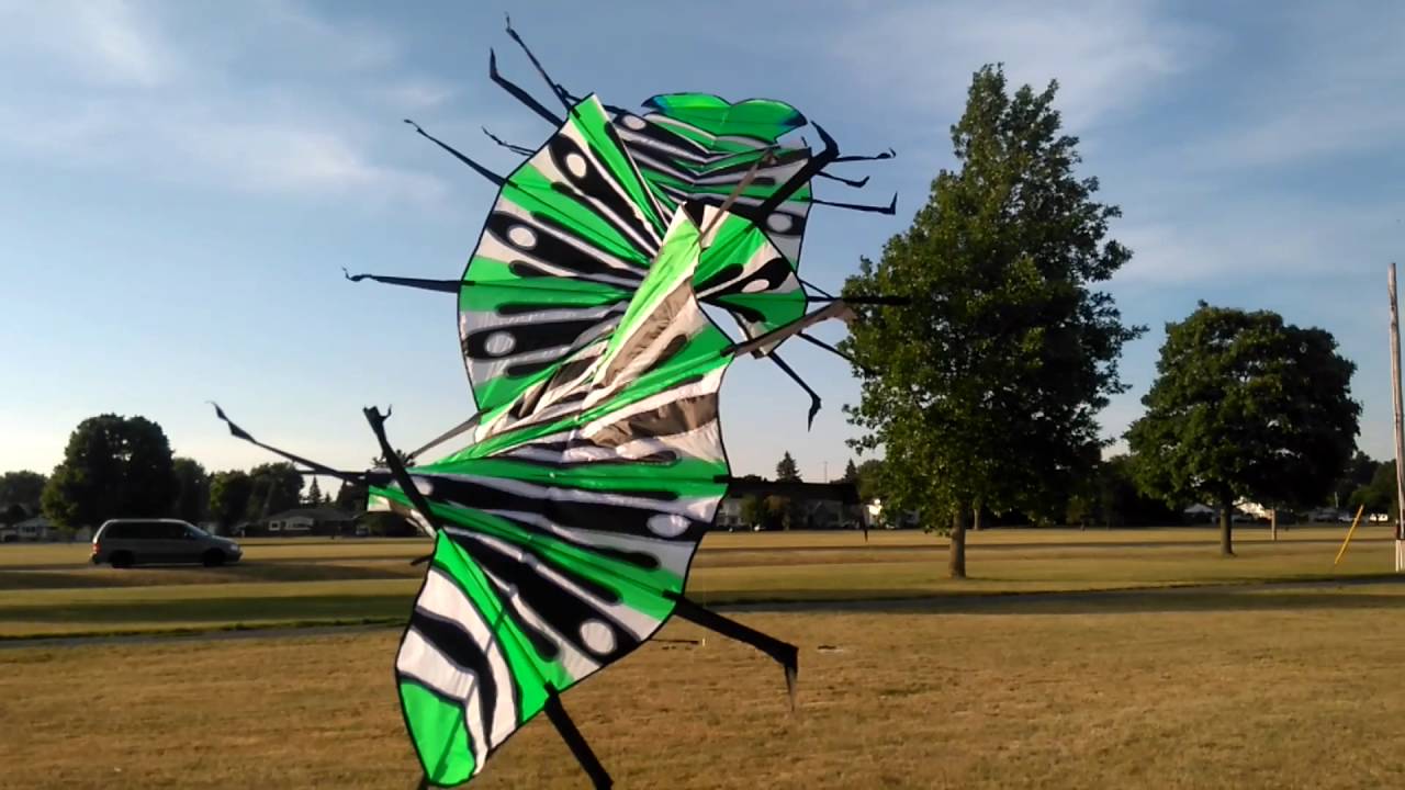 3.5m Dynamic Kinetic Caterpillar Kite - Acer Liquid Z220