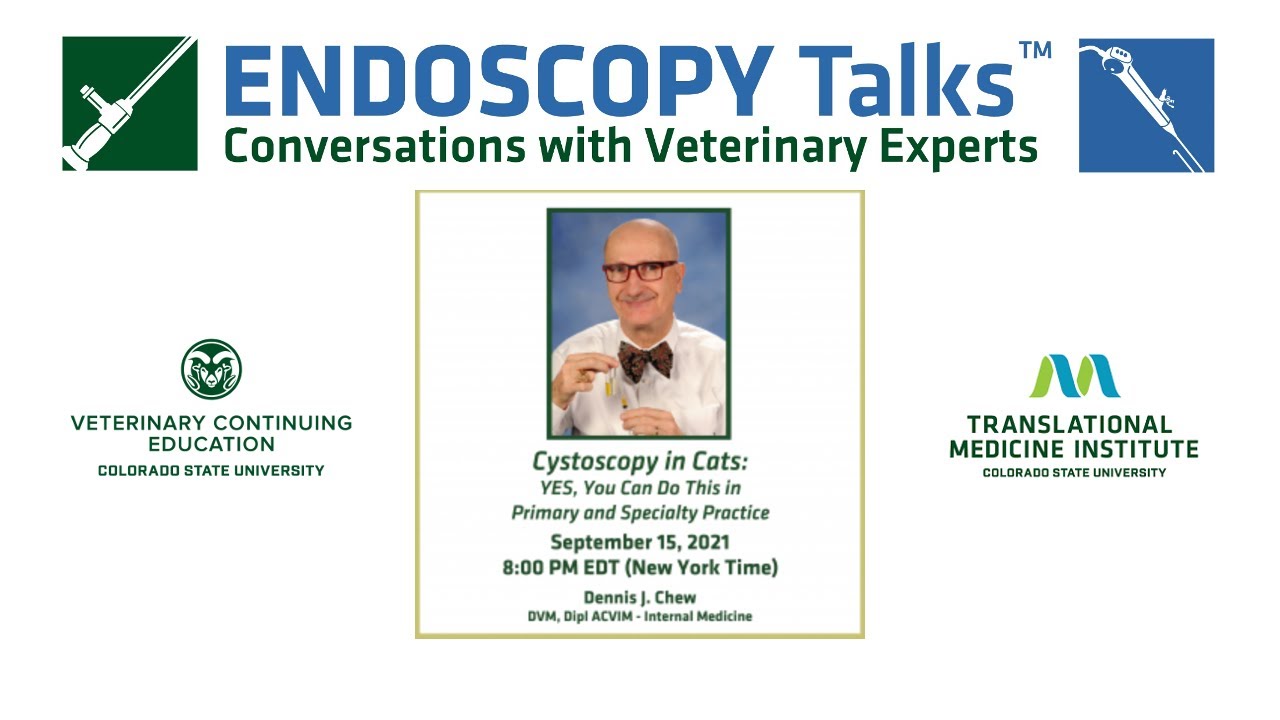 38 ENDOSCOPY Talks - Chew, 
