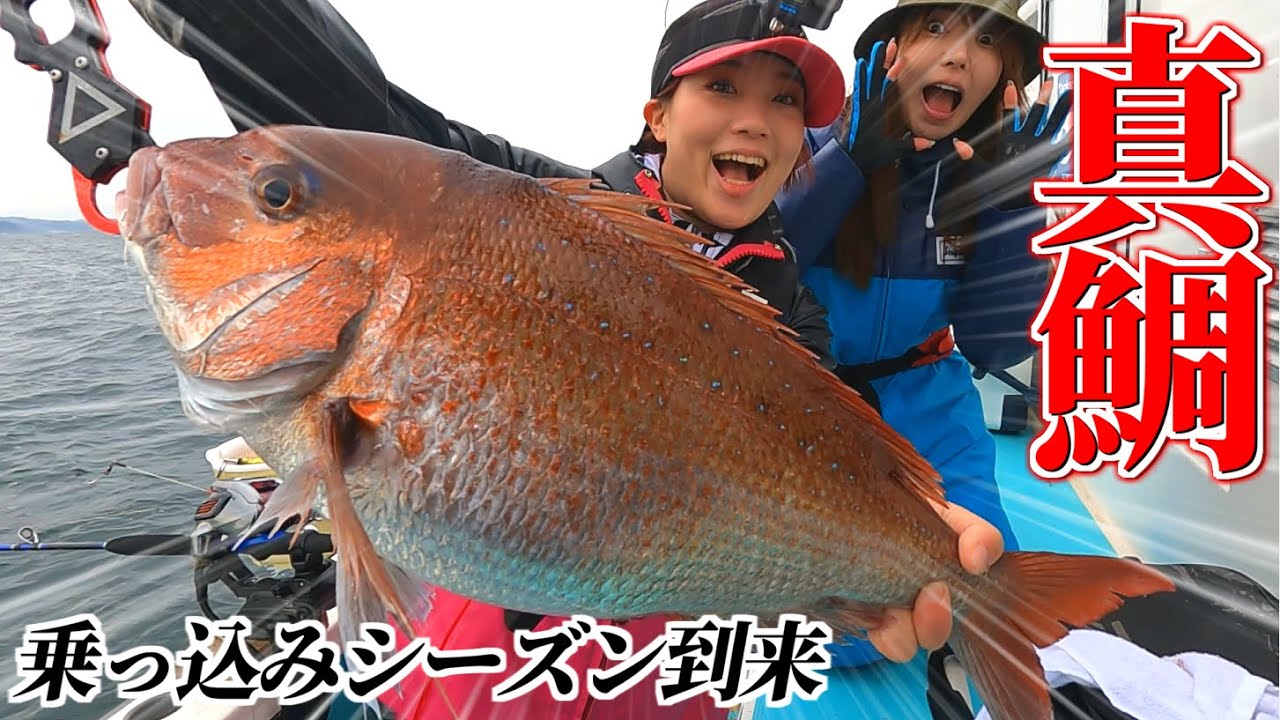 【コマセマダイ】乗っ込み到来!!剣崎沖で春の真鯛を攻略【一義丸】【マダイ釣り】【ちーちゃんプチCUP】