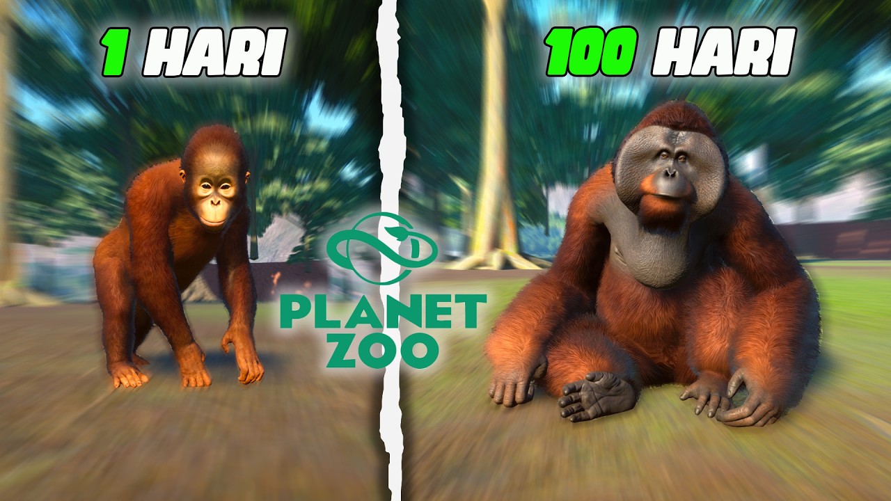 Aku Membuat Kebun Binatang Pelestarian Orang Utan & Melepaskannya Ke Alam Liar Di Planet Zoo