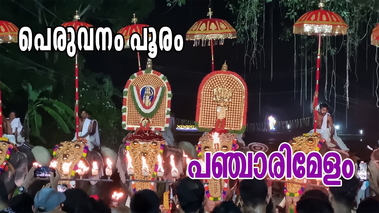 Peruvanam Pooram #Panjarimelam #pooram2024 #elephant #chendamelam #arattupuzhapooram #keralatourism