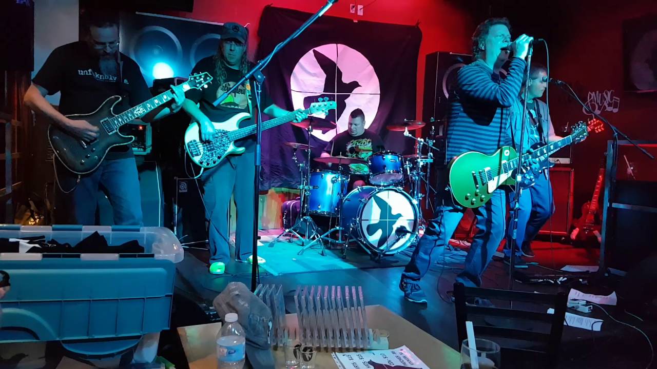 The Night In You- Damn Pigeon