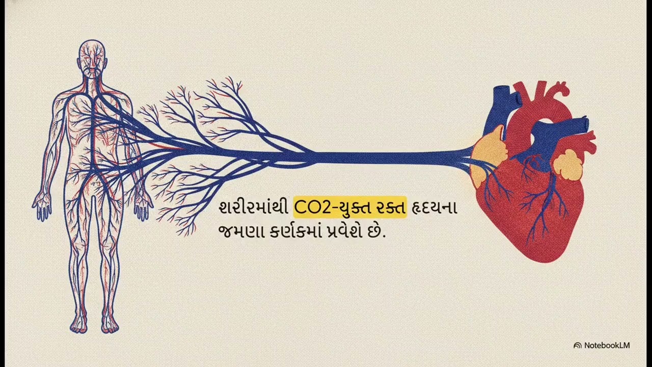 ધોરણ 10 વિજ્ઞાન | મનુષ્યનું હૃદય અને તેનું કાર્ય | TET TAT Police CCE માટે મહત્વપૂર્ણ | Mahendra Sir