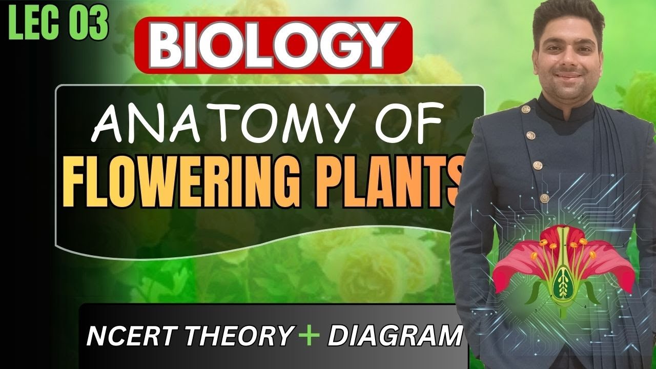 ANATOMY OF FLOWERING PLANT | LEC 03 | BY DR KARAN VARDHANI
