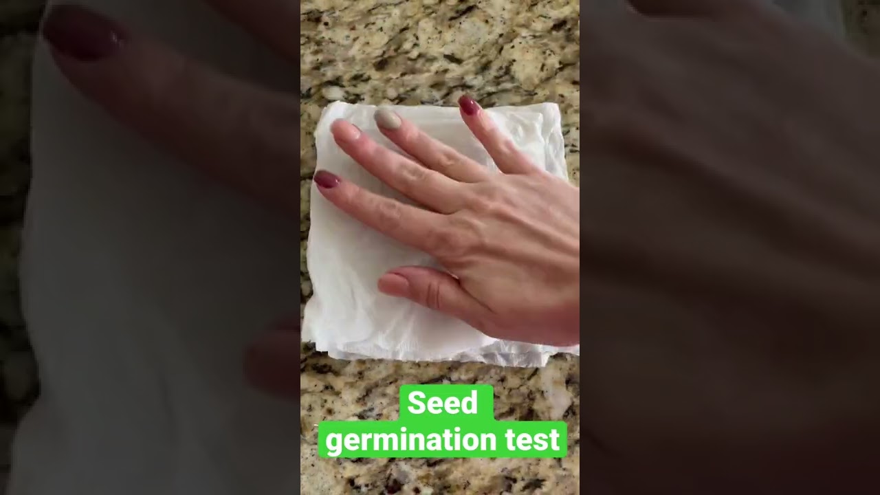 Seed Germination Test
