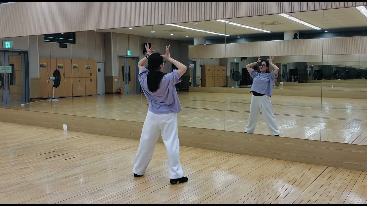 [K-pop]DANCE MIRROR EXO(엑소)_CROWN(크라운) 거울모드 | 엑소 왕관춤 