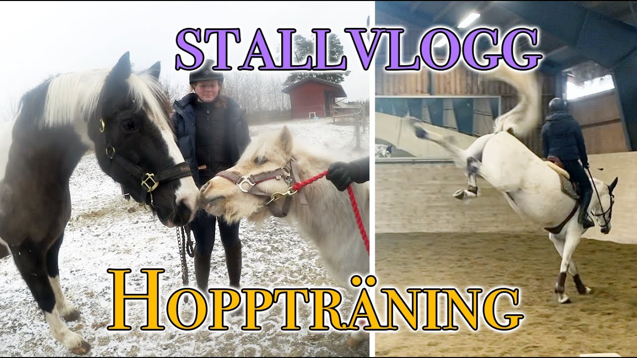 EN GANSKA KORT STALLVLOGG