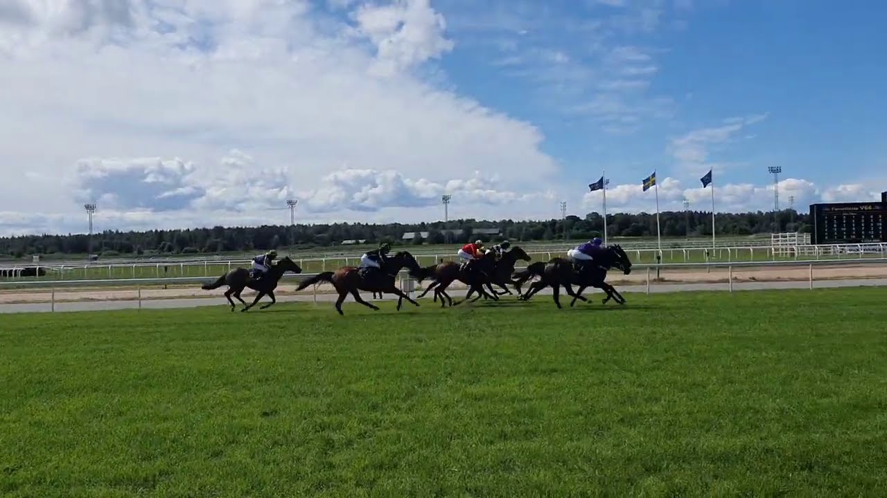 Horse Racing Sweden Bro Park