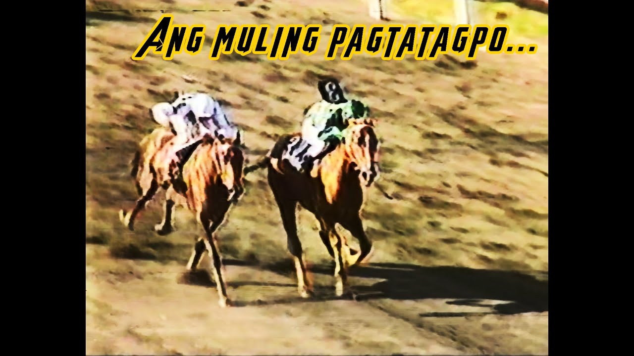 Rojas vs Sanchez stable 1992