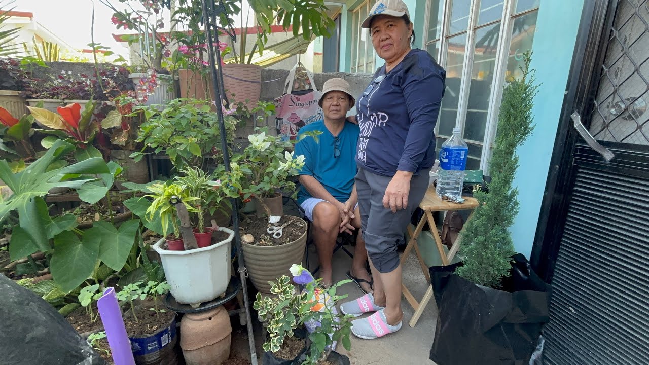 Gardening | Plant Shopping Vlog #fyp #foryou #trending 