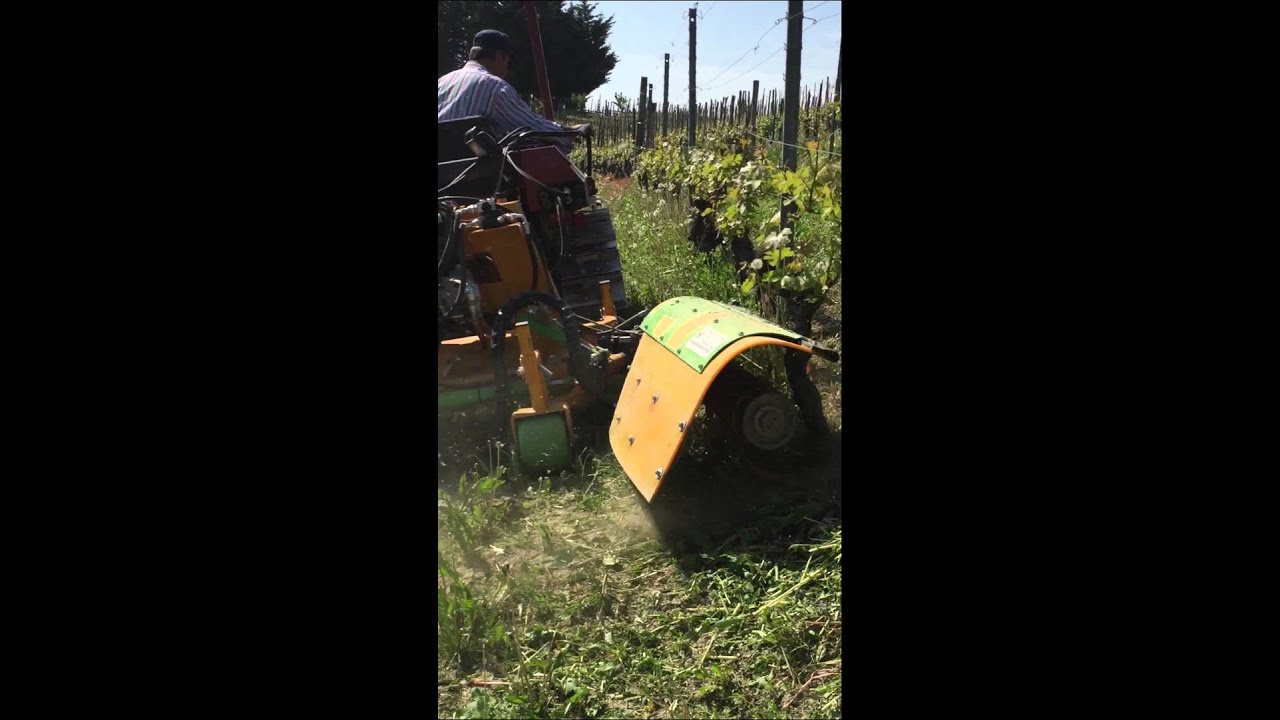 Salf diserbo meccanico prova in campo vigneto Dogliani