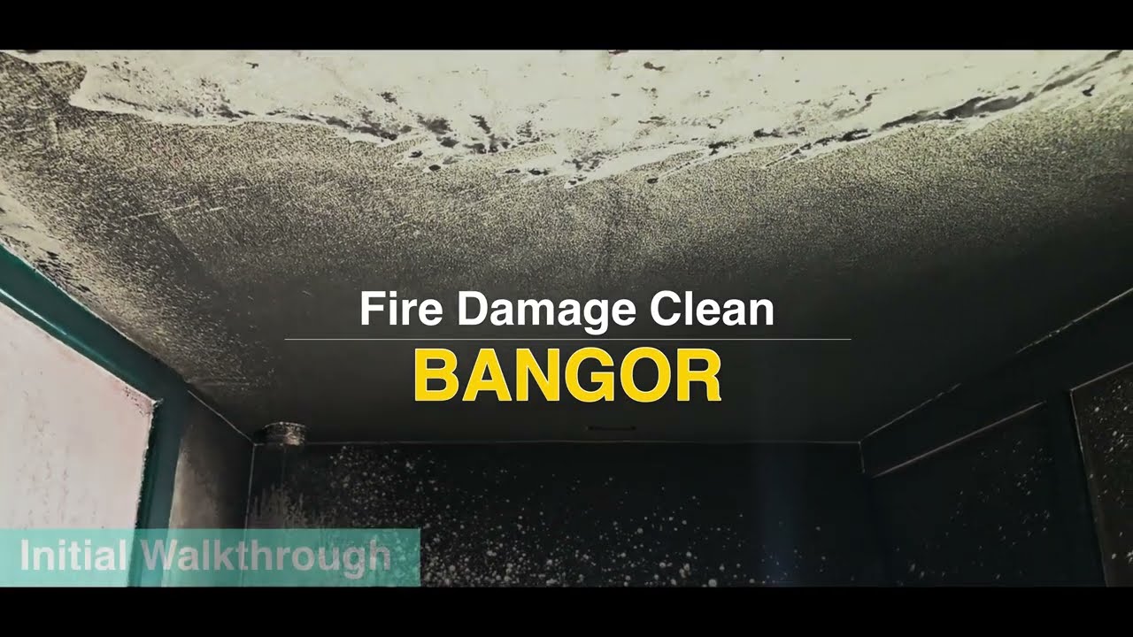 Fire Damage Clean Bangor Post-Fire Mould Remediation & Sanitisation Mould Removal Services Ireland