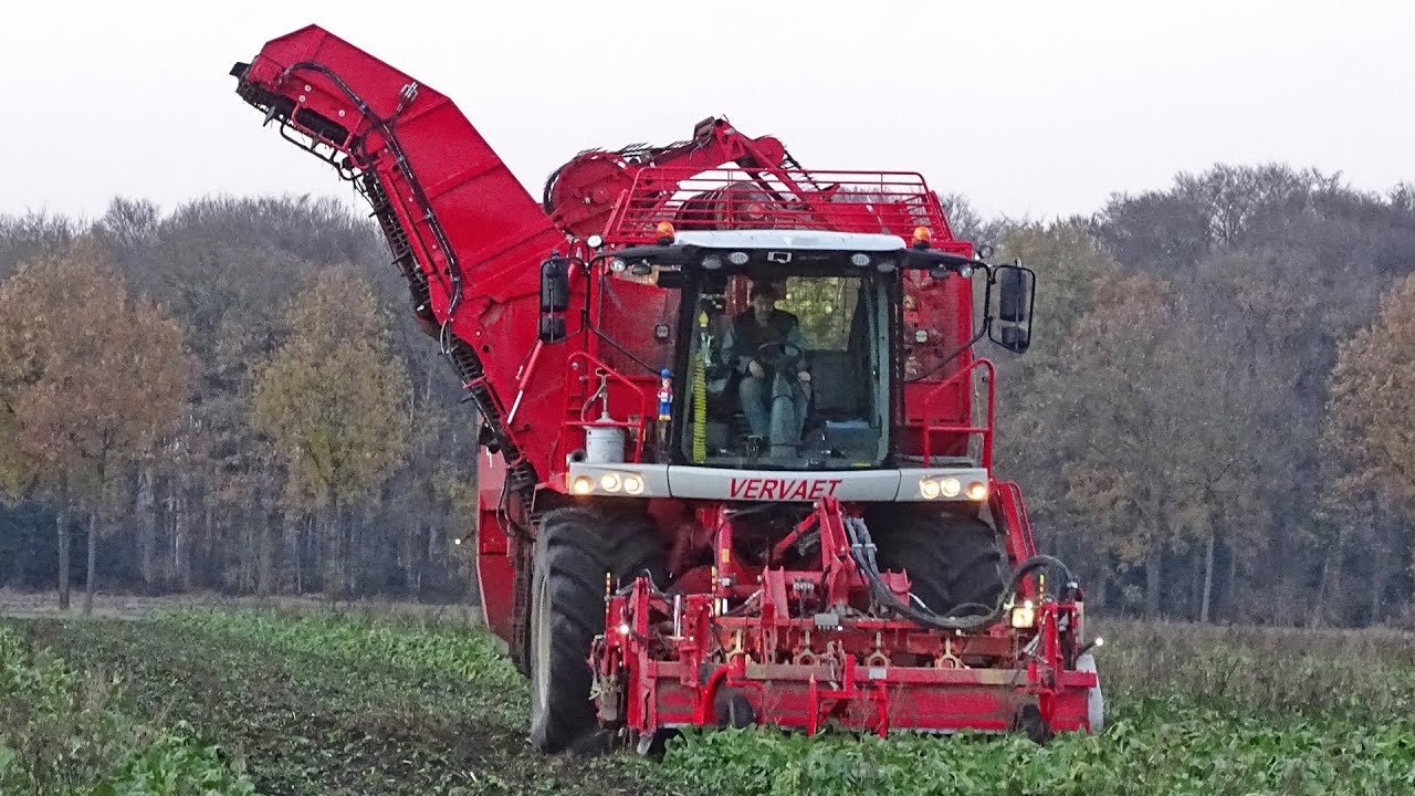 Beet Harvest | Vervaet Q621 + John Deere | Bieten rooien | Rübenernte | Versteeg | Uddel | 2018