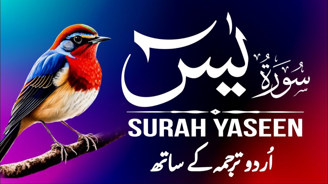 Surah Yaseen | Surah Yaseen With Urdu Translation | Episode - 459