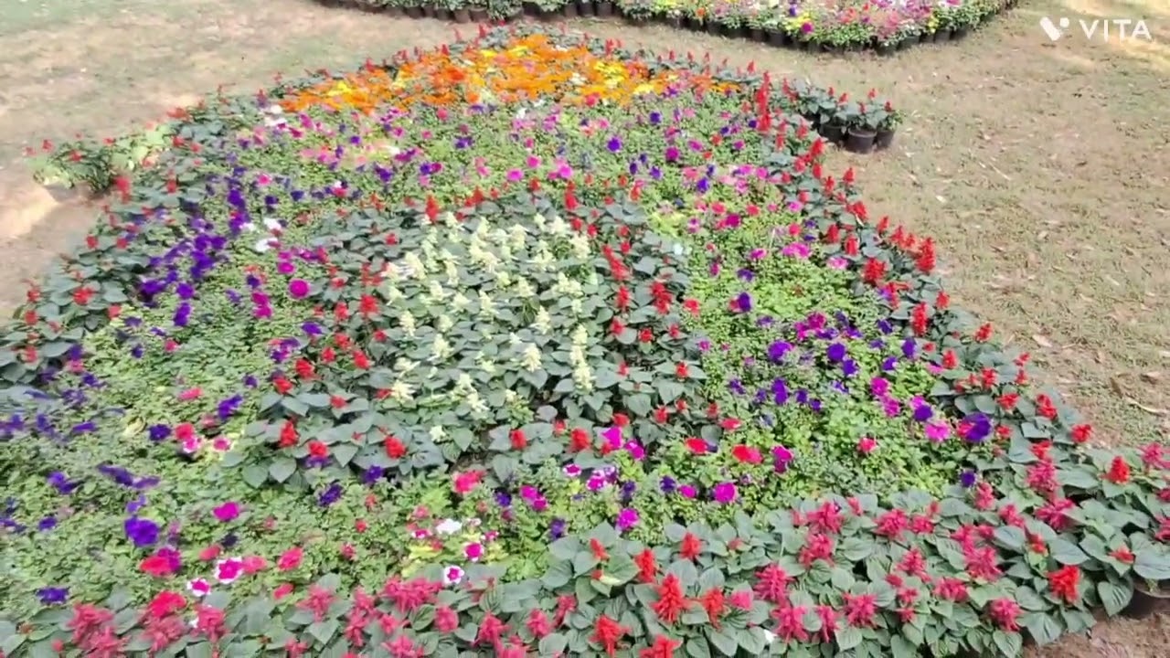 Botanical garden