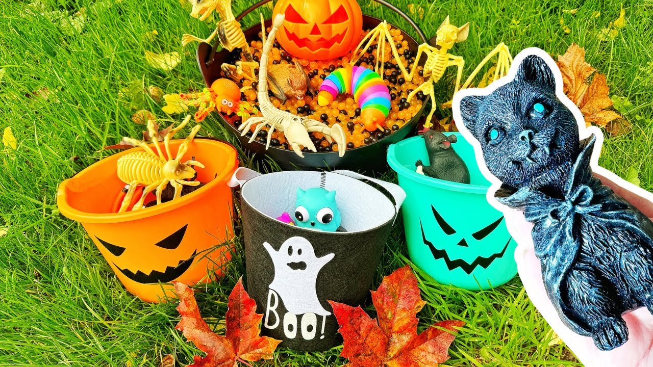 Halloween Animal Game for Kids | Sort Bugs Birds Mammals | Halloween Learning Fun