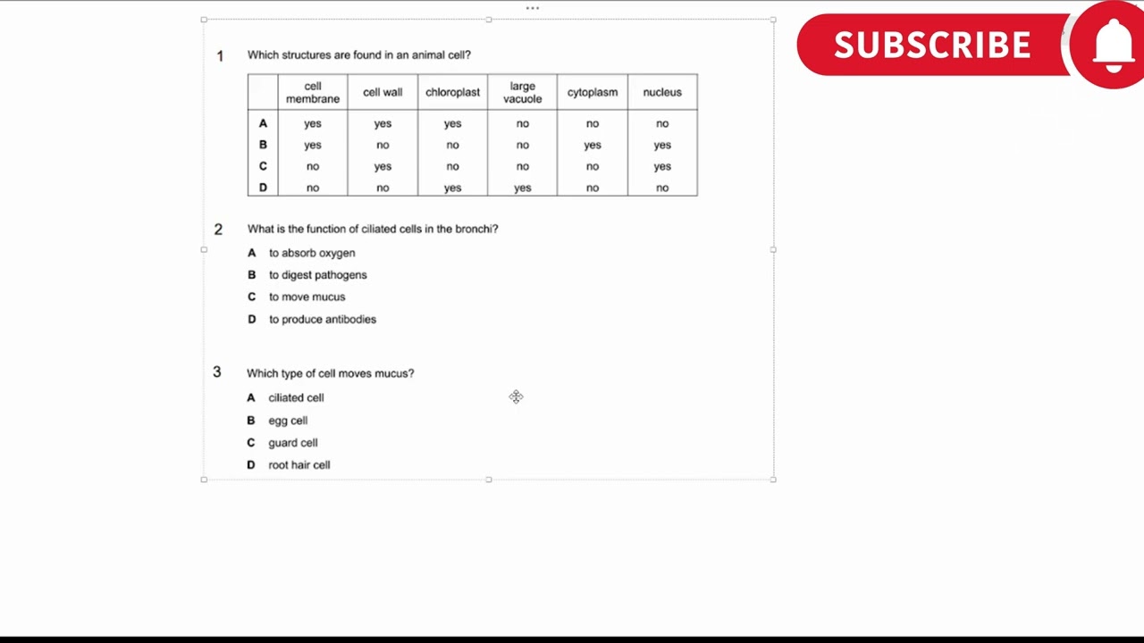 Animal Cell Structures Explained in 1 Minute  O Level & A Level Biology